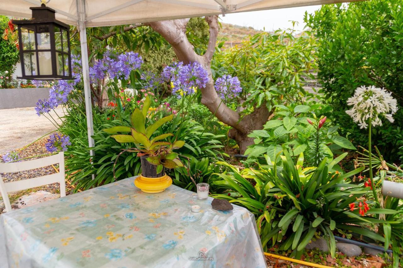 Bodega Goyo Apartment Puntallana Bagian luar foto